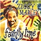 Ziggy Marley - Family Time